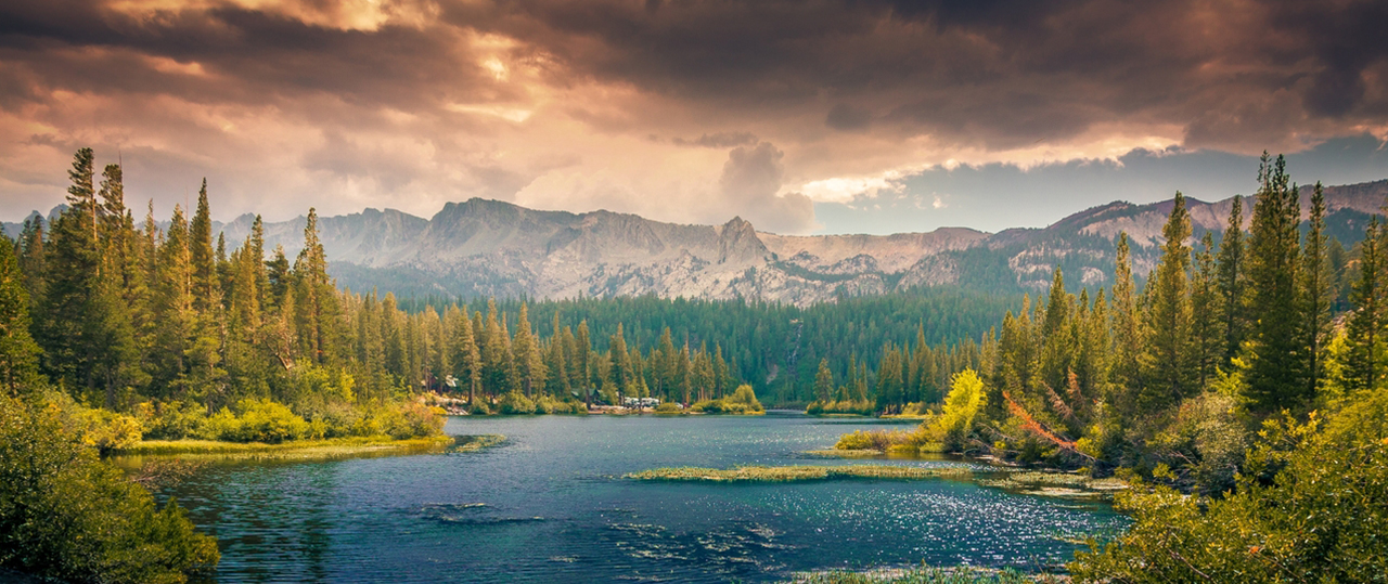 呼死TA